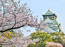 九游-张兆旭：十一年身穿上海球衣的日子走马灯一样闪过，上海总冠军